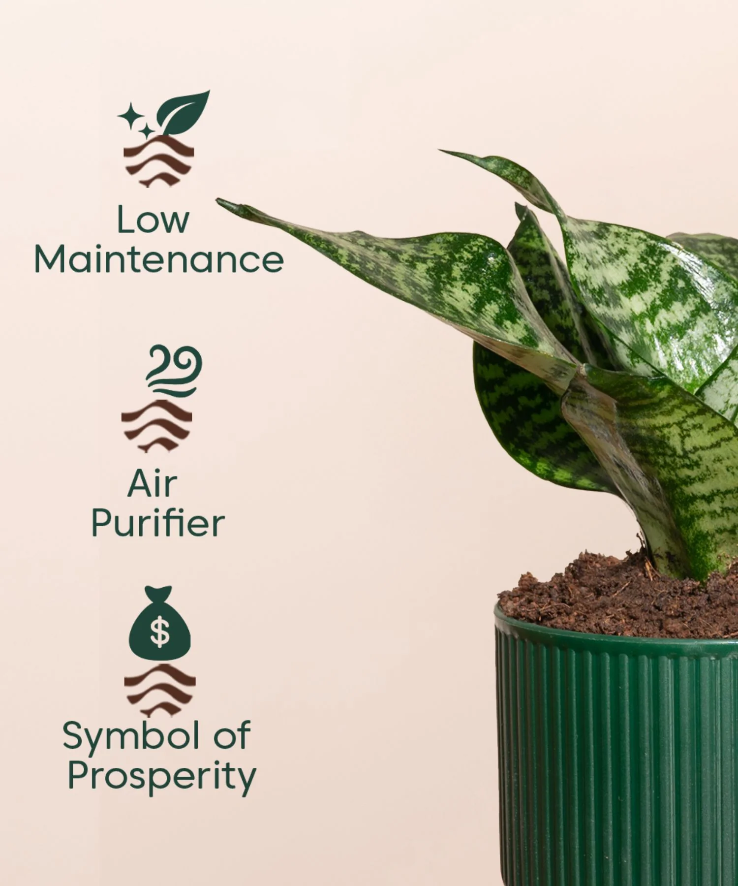 Product image 111