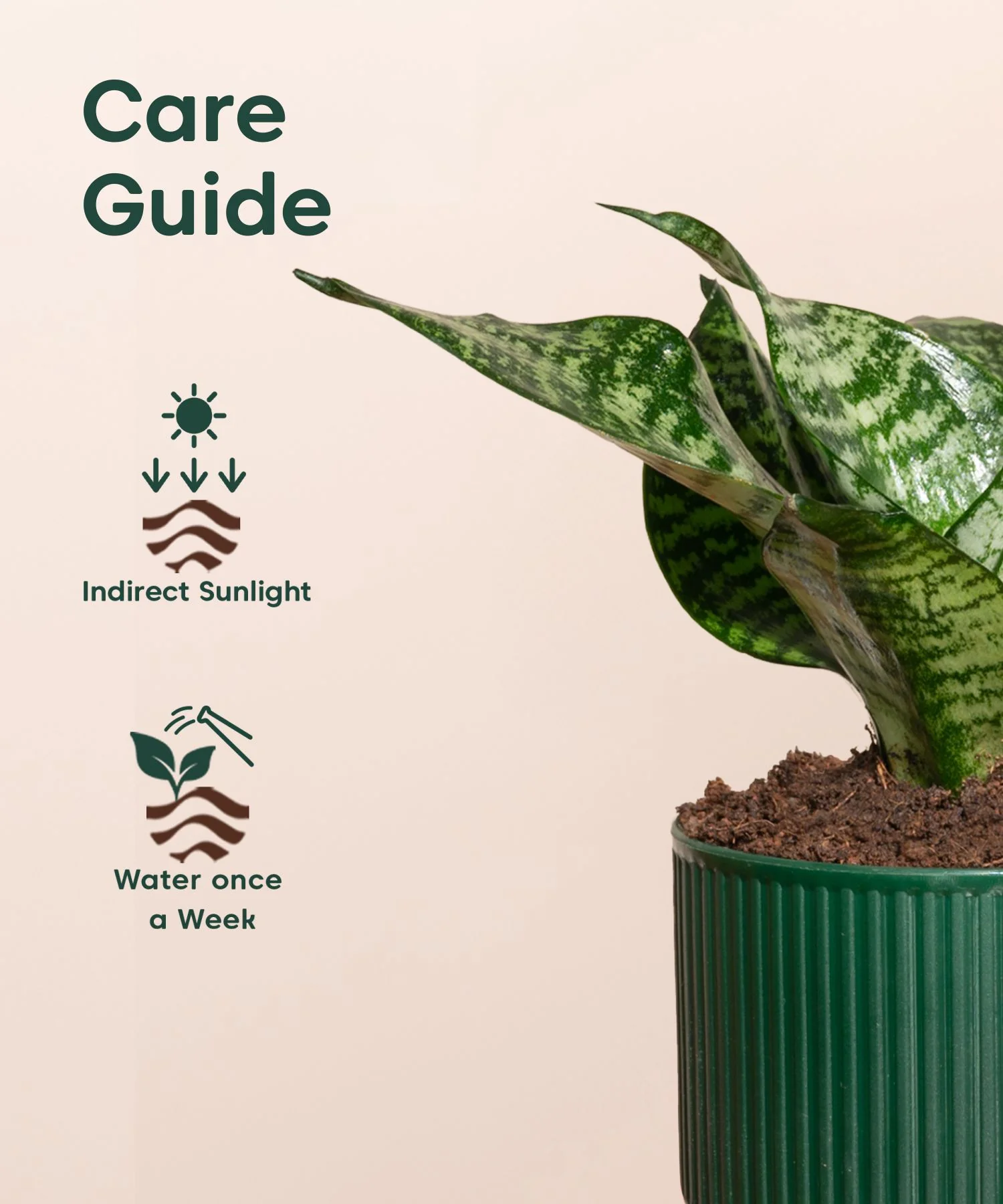 Product image 112