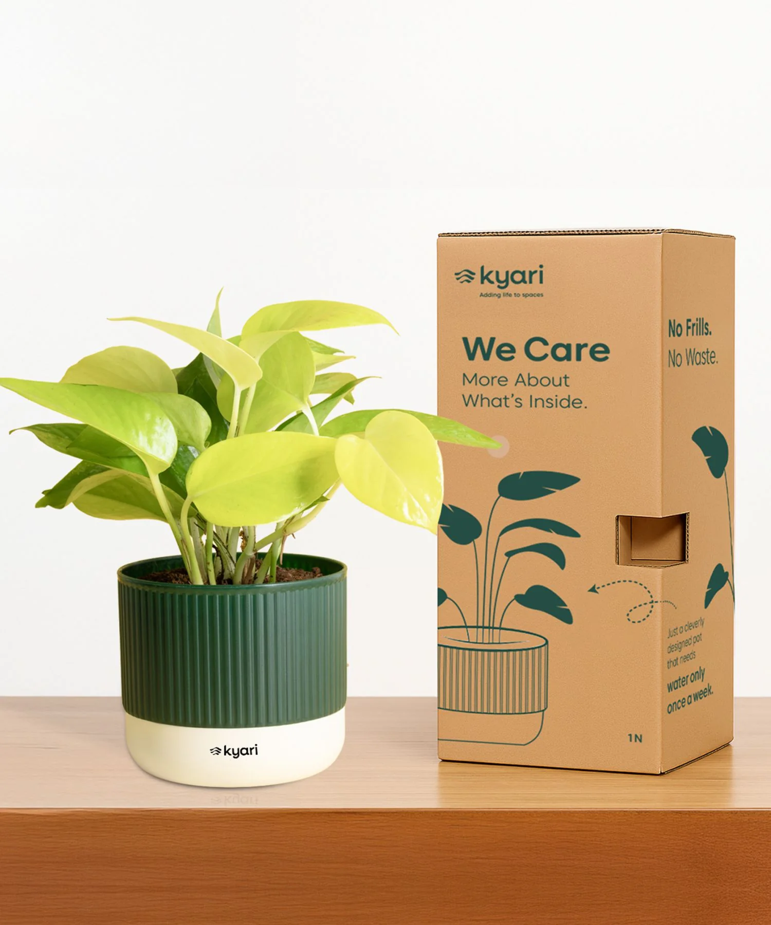 Product image 113