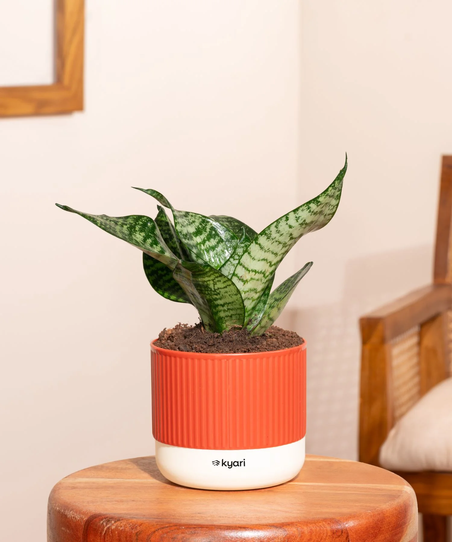 Product image 114