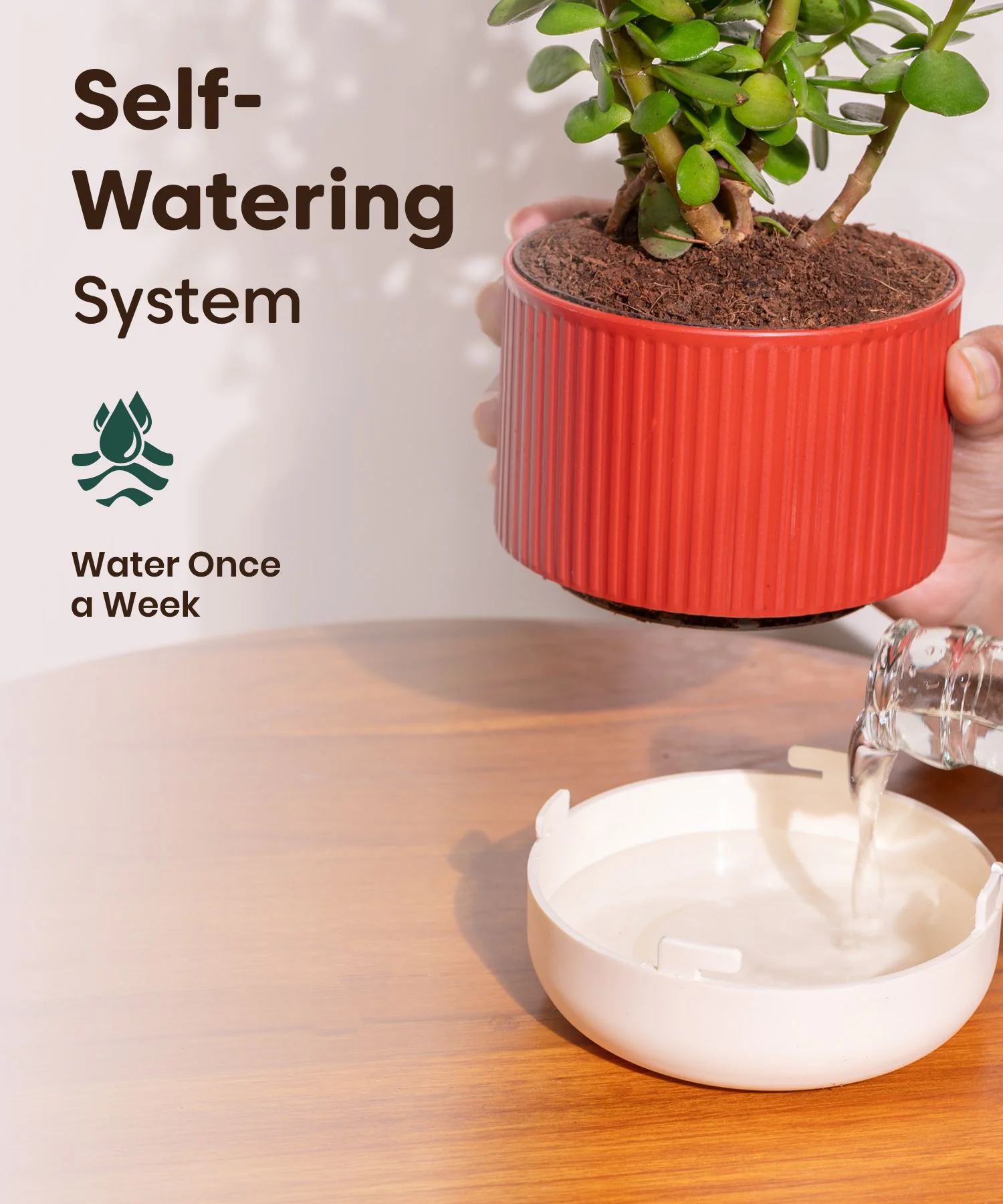 Product image 116