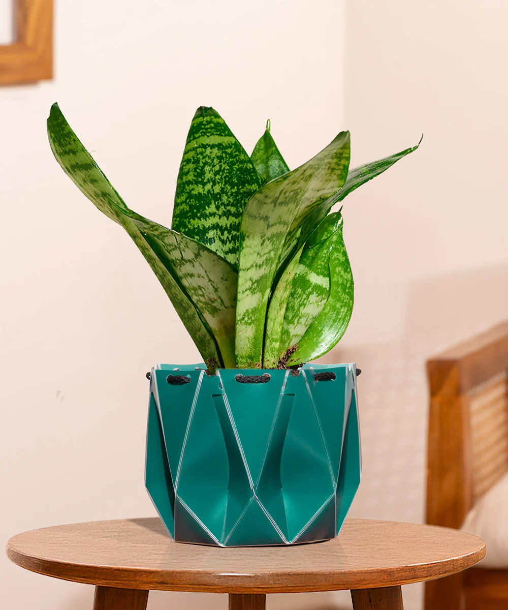 Product image 125