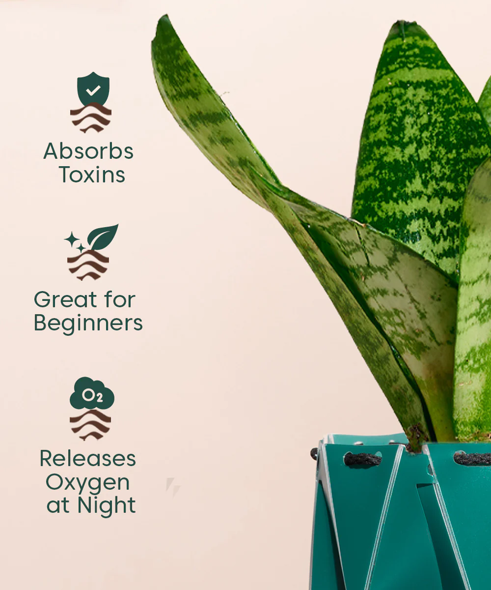 Product image 126