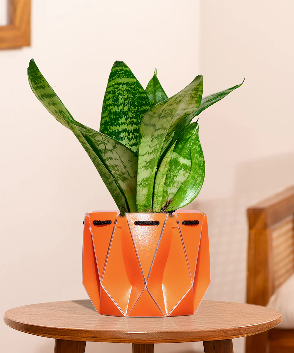 Product image 133