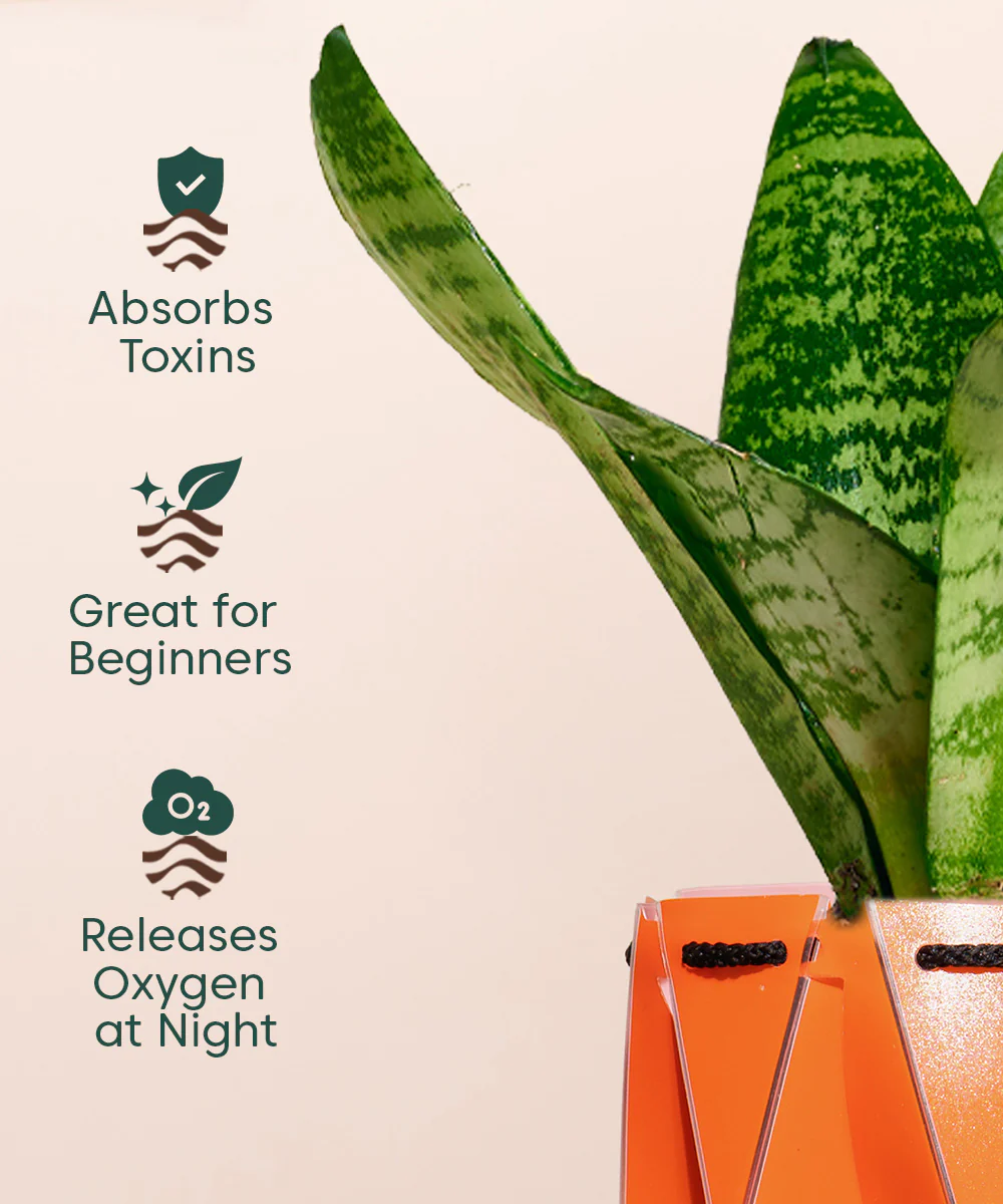 Product image 134