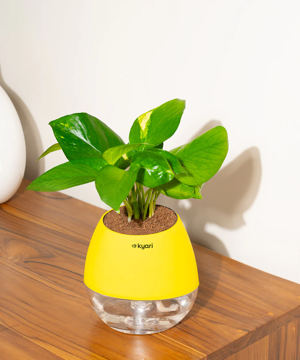 Product image 66