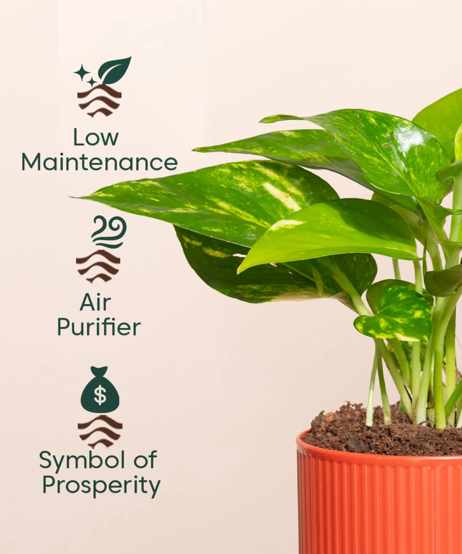 Product image 111
