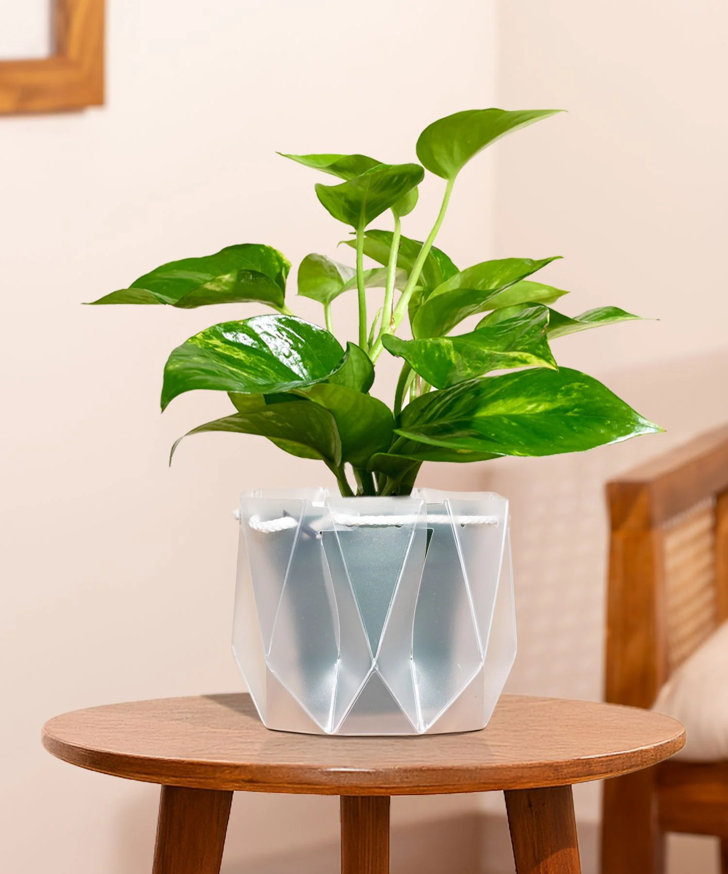 Product image 98