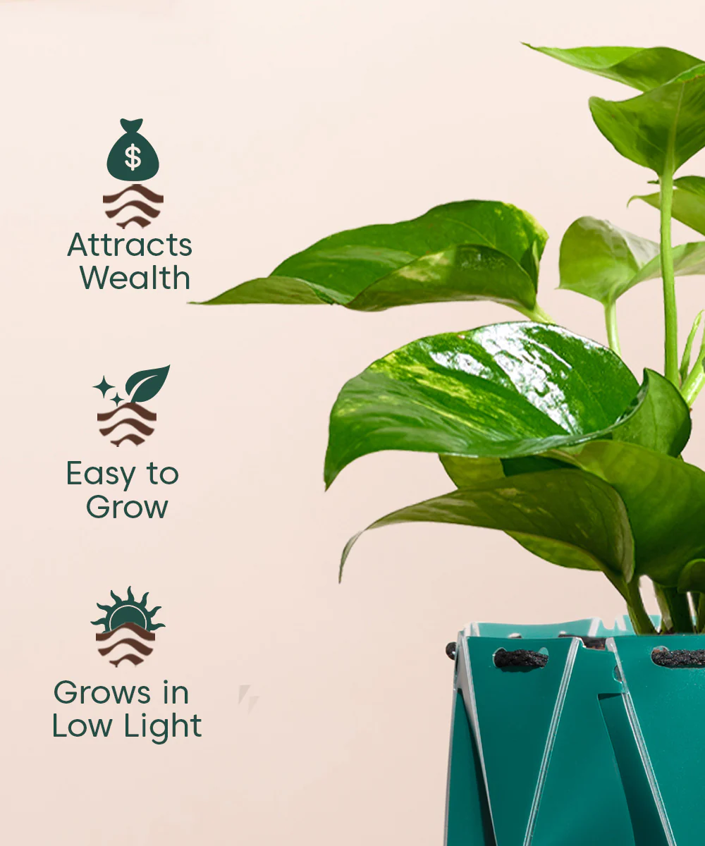 Product image 76