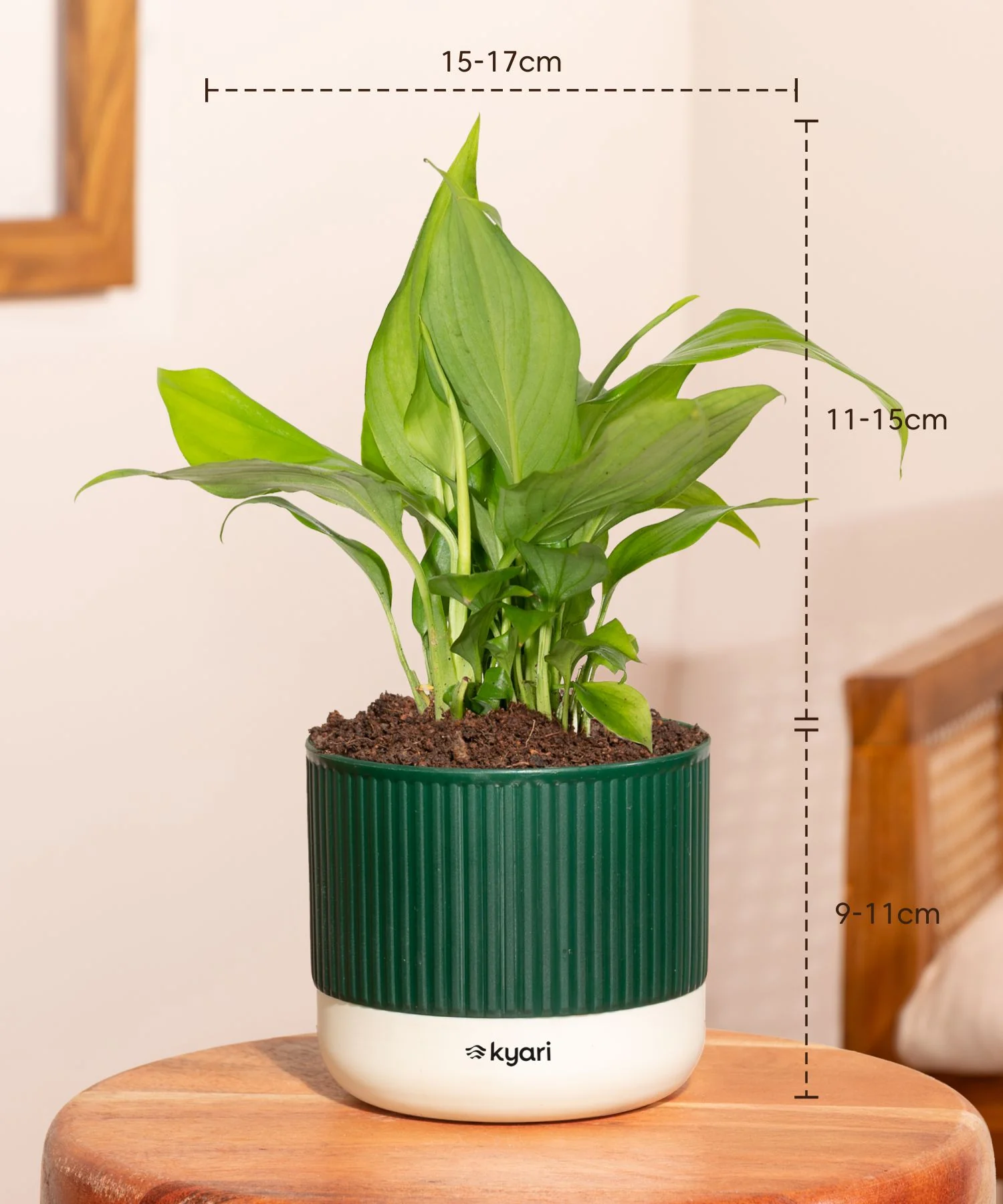 Product image 108