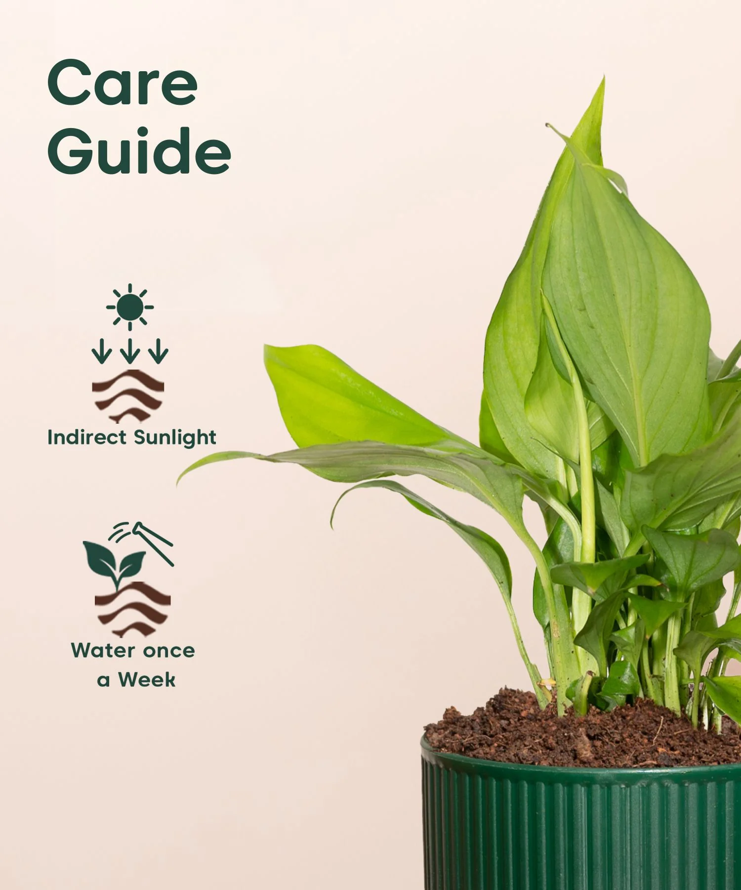 Product image 111