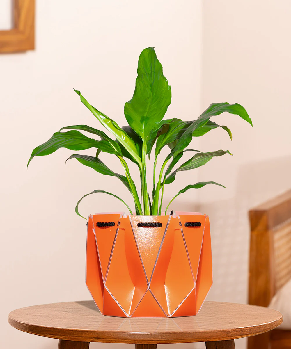 Product image 127