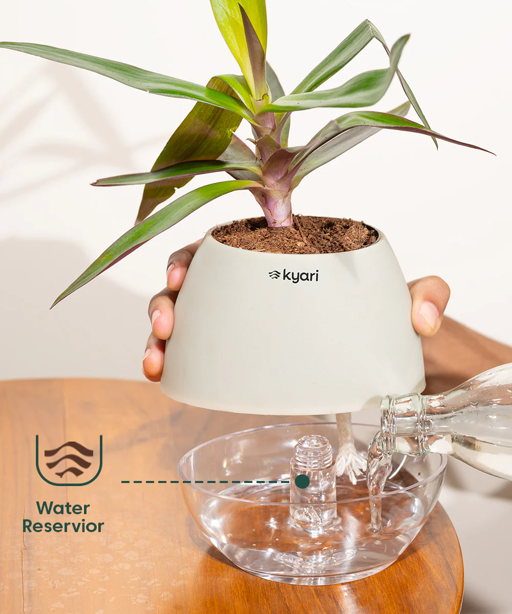 Product image 84