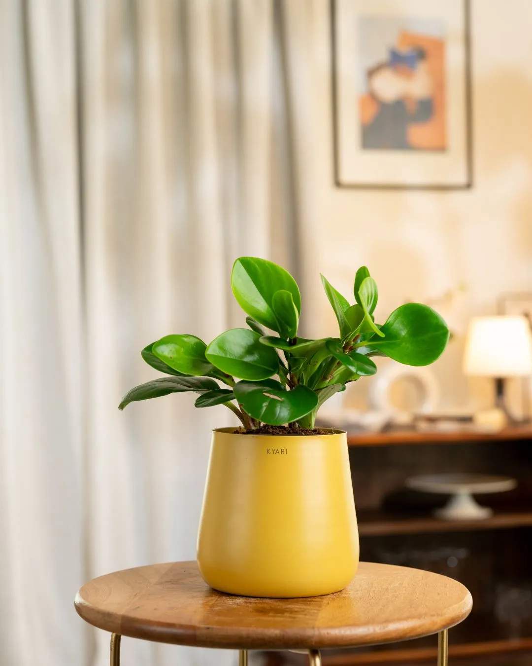 Product image 58