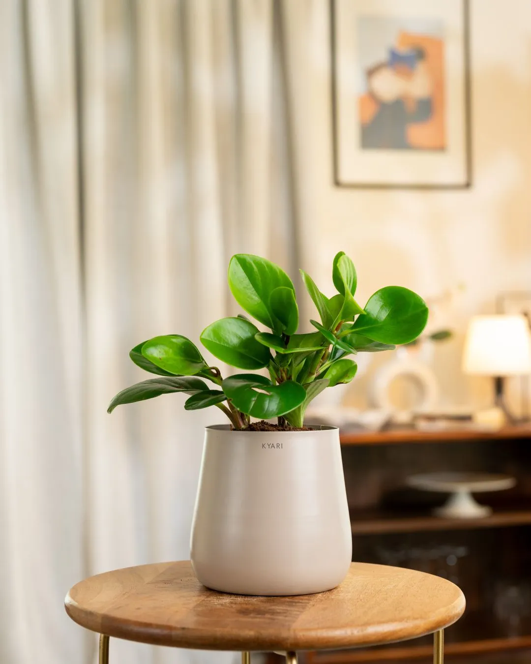 Product image 63
