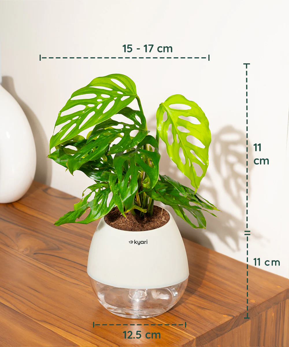 Product image 104
