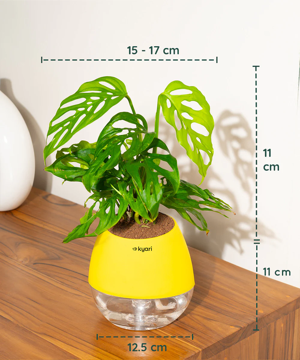Product image 96