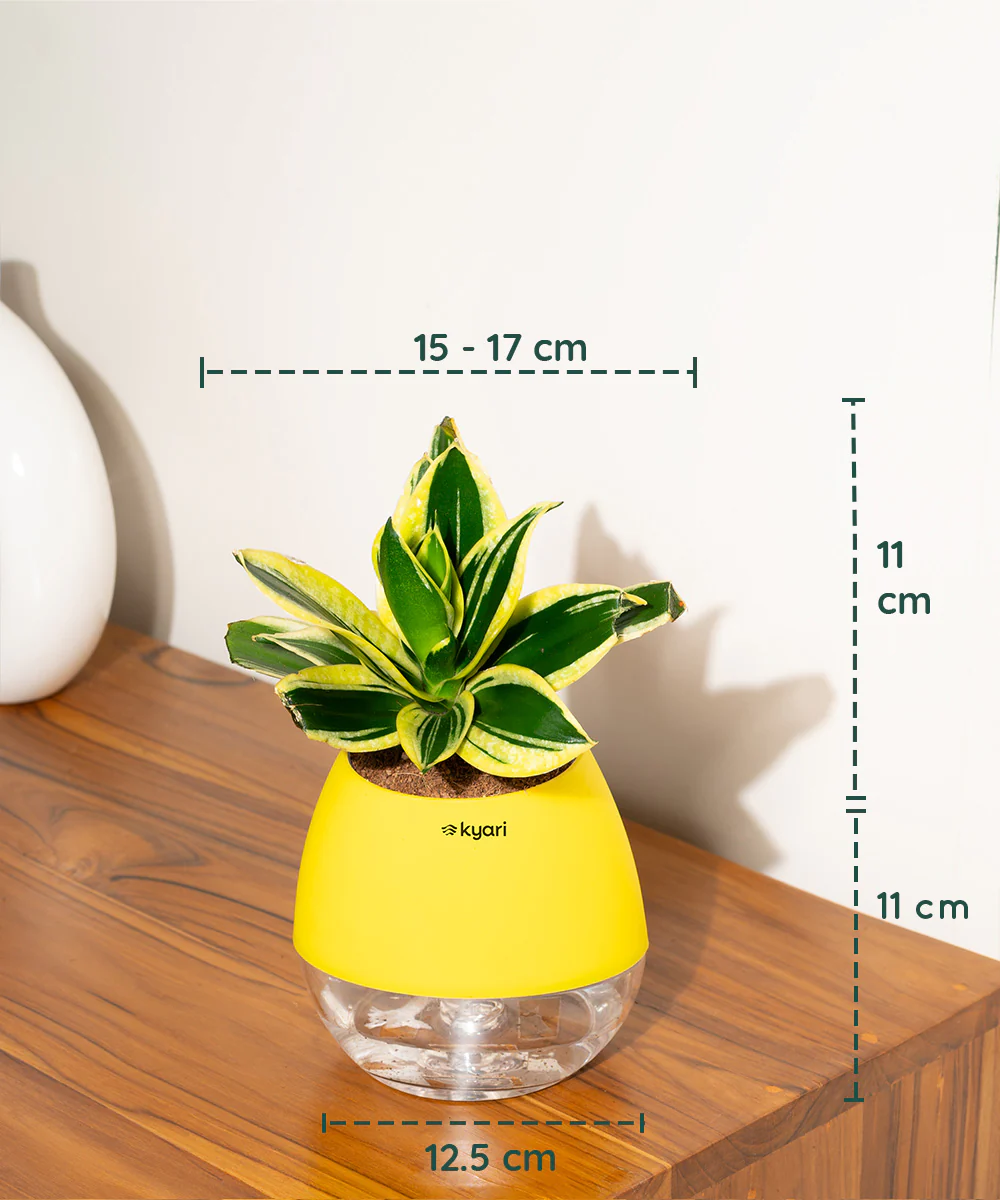 Product image 103