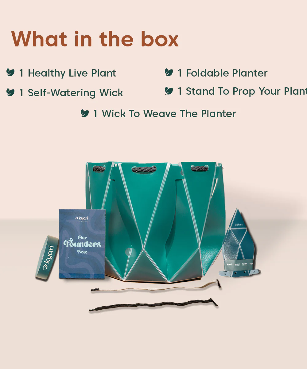 Product image 113