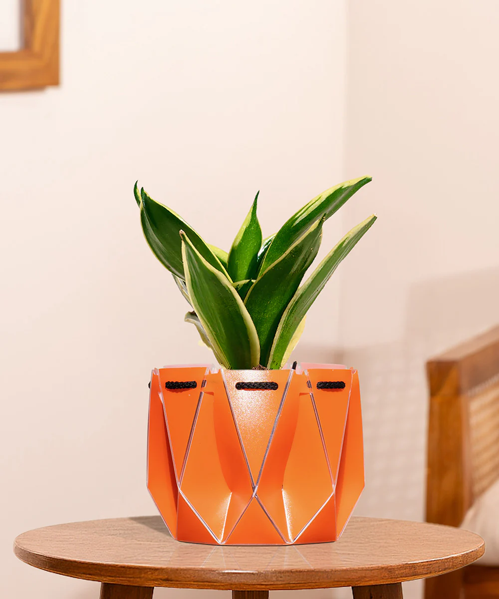 Product image 116