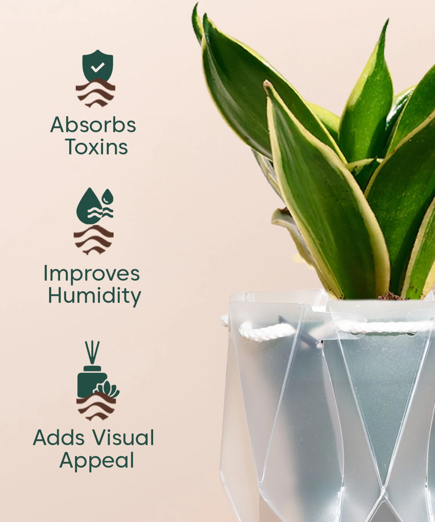 Product image 135