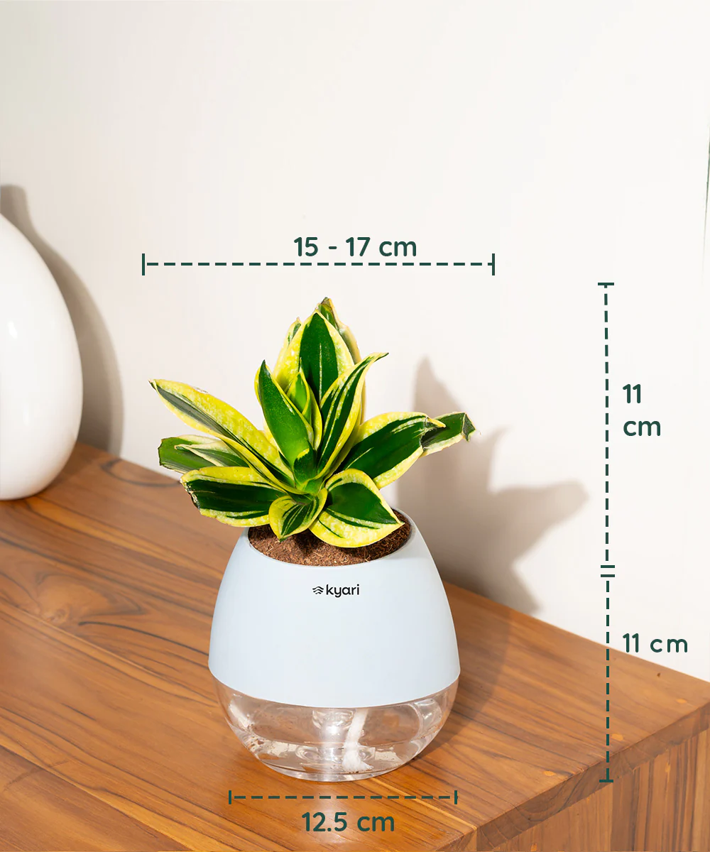 Product image 87