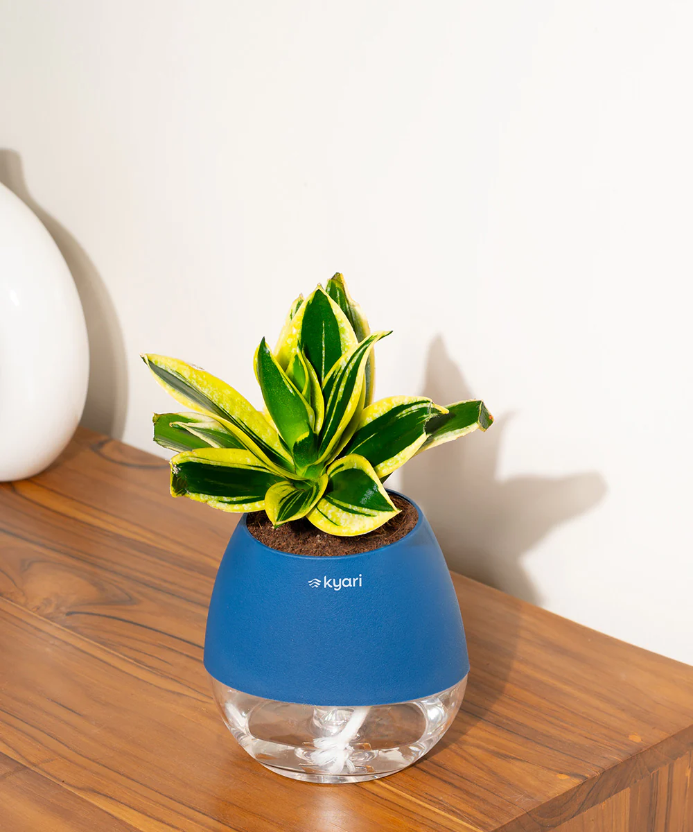 Product image 92