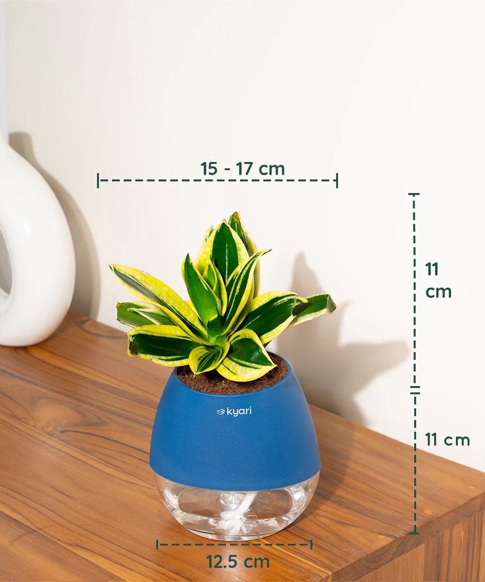 Product image 94