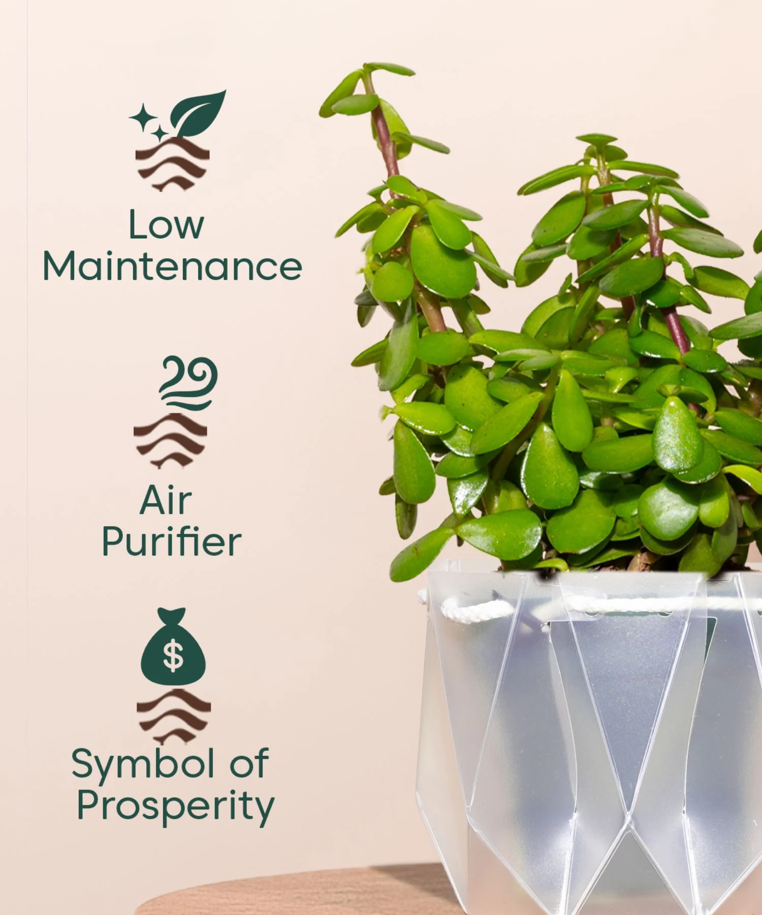 Product image 89
