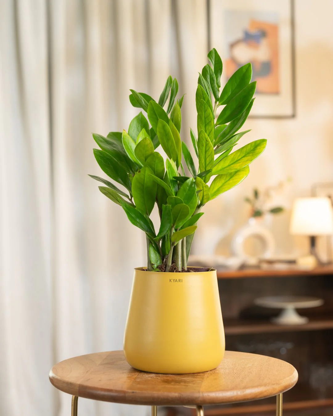 Product image 97